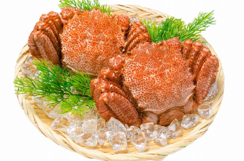 毛がに１尾