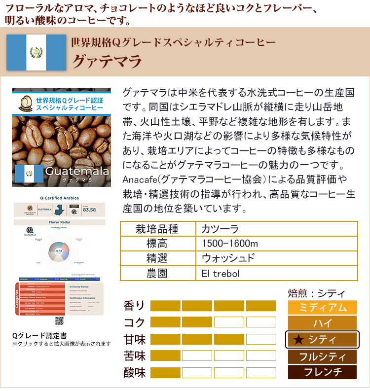 売上実績NO.1売上実績NO.1グァテマラ世界規格Qグレード珈琲豆30袋入BOX（ガテマラSHB） コーヒー