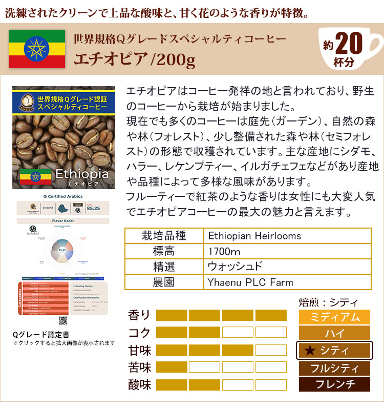 Qグレード6種類飲み比べ (Qメキ・Qウガ・Qエチ・Qコロ・Qミャン・Qケニ 各200g) 珈琲豆 コーヒー 