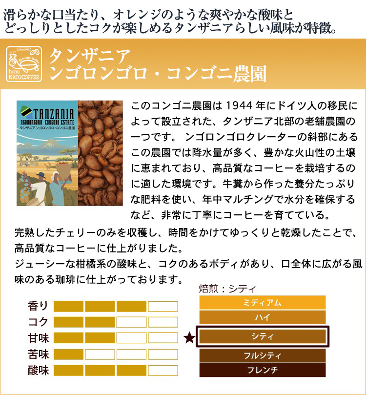 アフリカンベッドとは