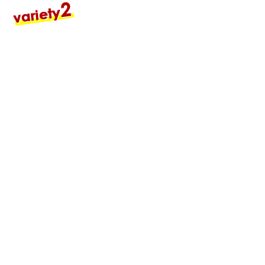 しゃちDB