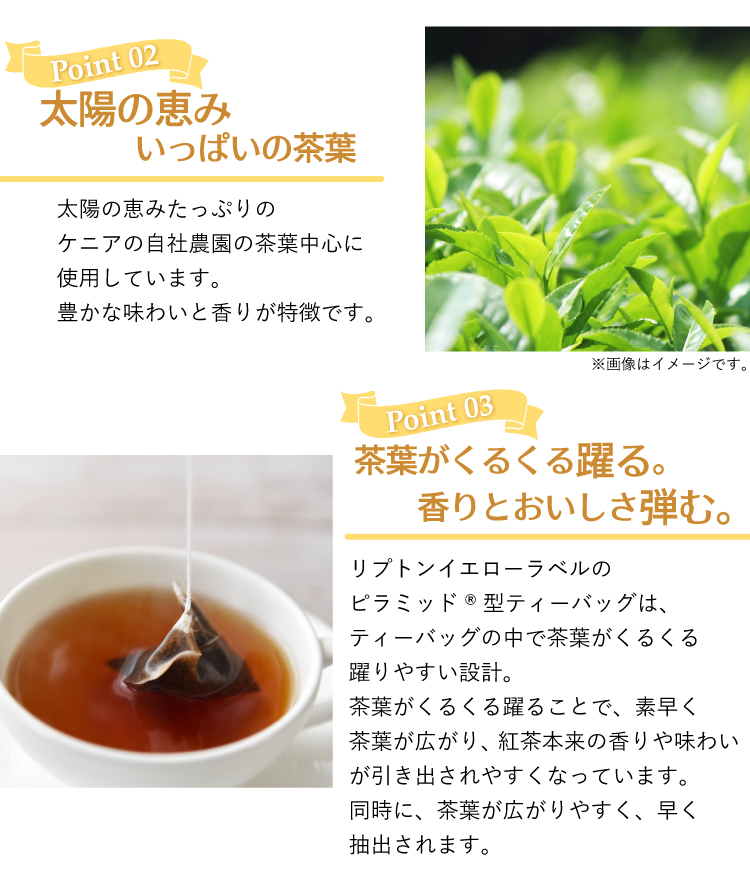 Lipton（リプトン） イエローラベル ティーバッグ12個セット 紅茶
