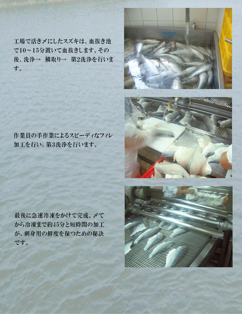 スズキ フィレ Lサイズ 400 600g 台湾産 魚 冷凍食品 生食 すずき 1003 1 グルメ大陸 通販 Yahoo ショッピング