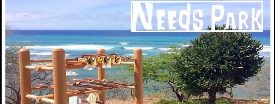 NEEdS PARK