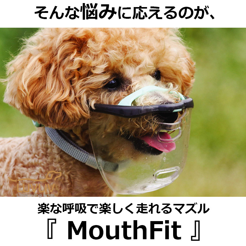 magnet_175763644501.png