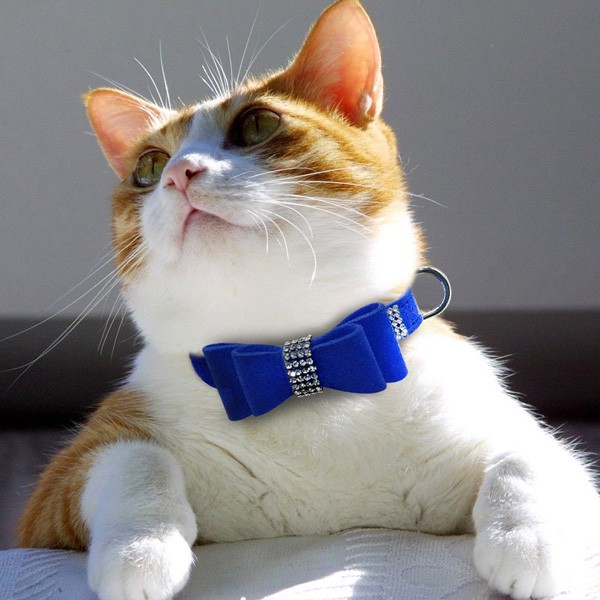 犬 首輪 かわいい おしゃれ リボン首輪とリードのセット リード
