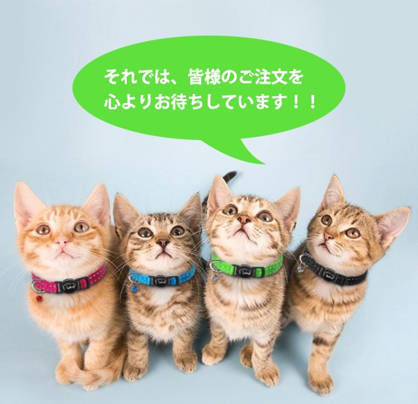 猫用首輪　安全