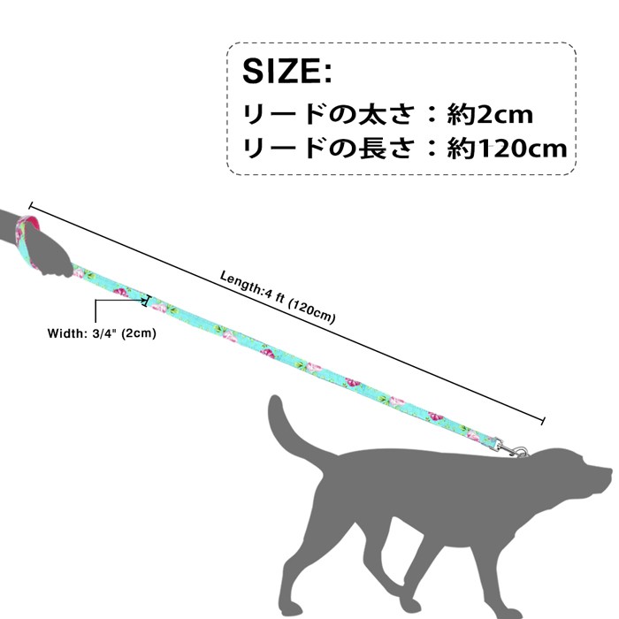 犬 リード リーシュ ハーネス 首輪 お揃い セット 迷子札 名前入り 犬用首輪