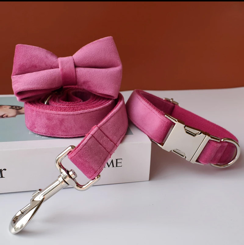 犬 蝶ネクタイ首輪 名前入り 全20色 S〜XL：ベルベット調 ワンタッチ