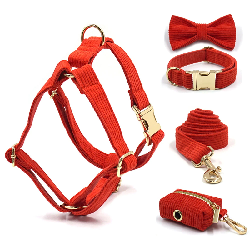 犬 首輪 ハーネス 名入れ リード コーデュロイ 5点セット／XS〜XL