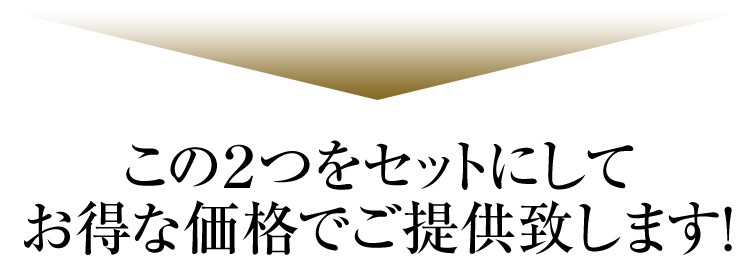 この2つをセットにしてお得な価格でご提供いたします！