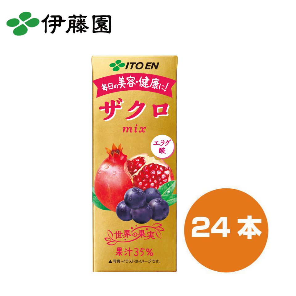 伊藤園 紙パック ザクロミックス 200ml | ザクロ 24本 1ケース