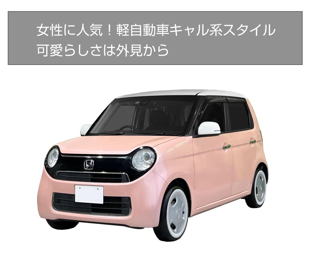 ムーンアイズ ムーンディスク 14インチ 軽自動車 キャルルック callook
