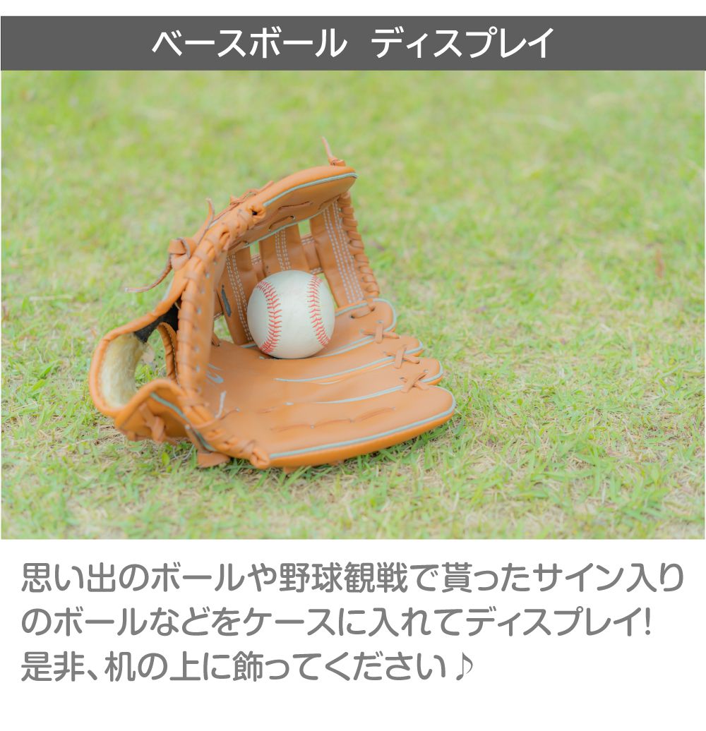 サインボールケース サインボール ケース 野球 ディスプレイケース
