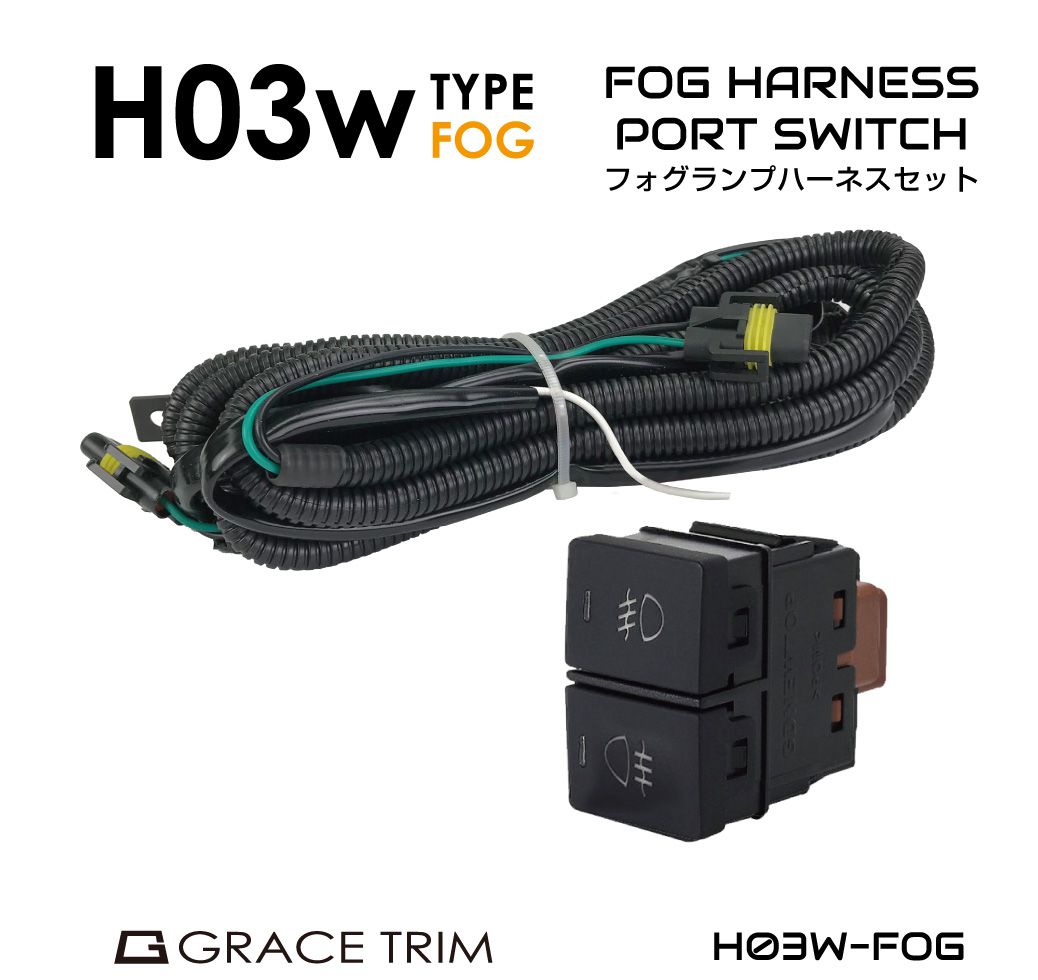 スイッチホール 増設 フォグランプ ポートスイッチ フォグ パネル