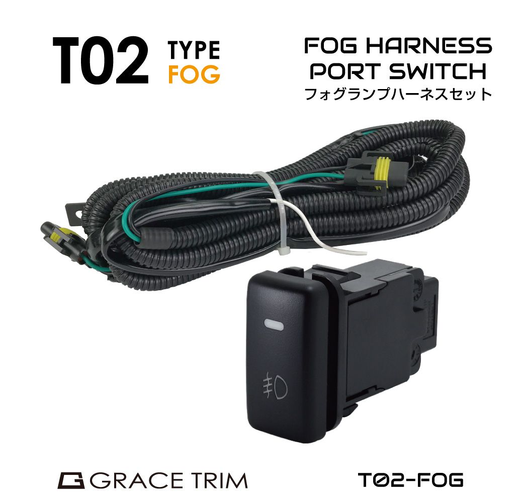 po-t02-fog.jpg