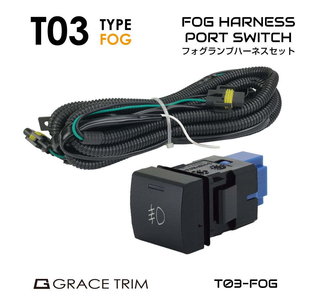 po-t03-fog.jpg