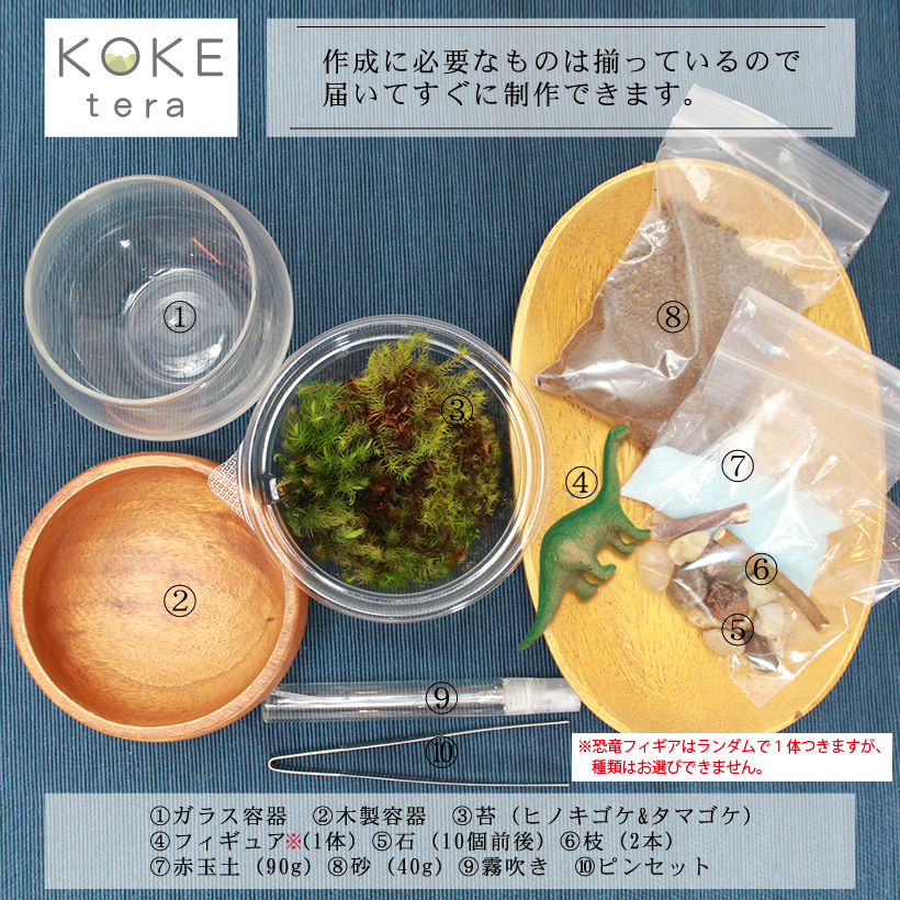 苔テラリウム恐竜内容物