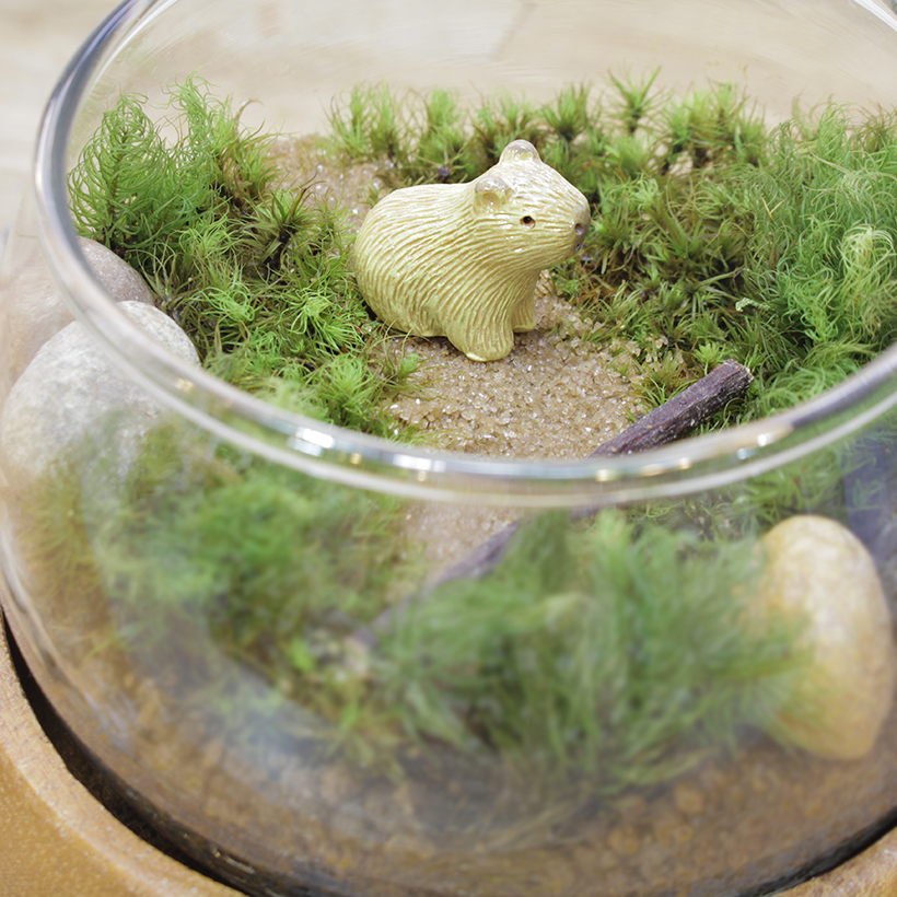苔テラリウムカピバラ拡大