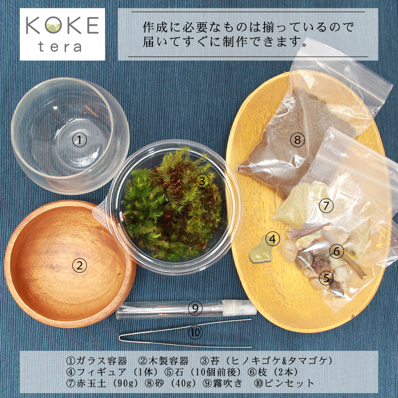 苔テラリウムカピバラ内容物