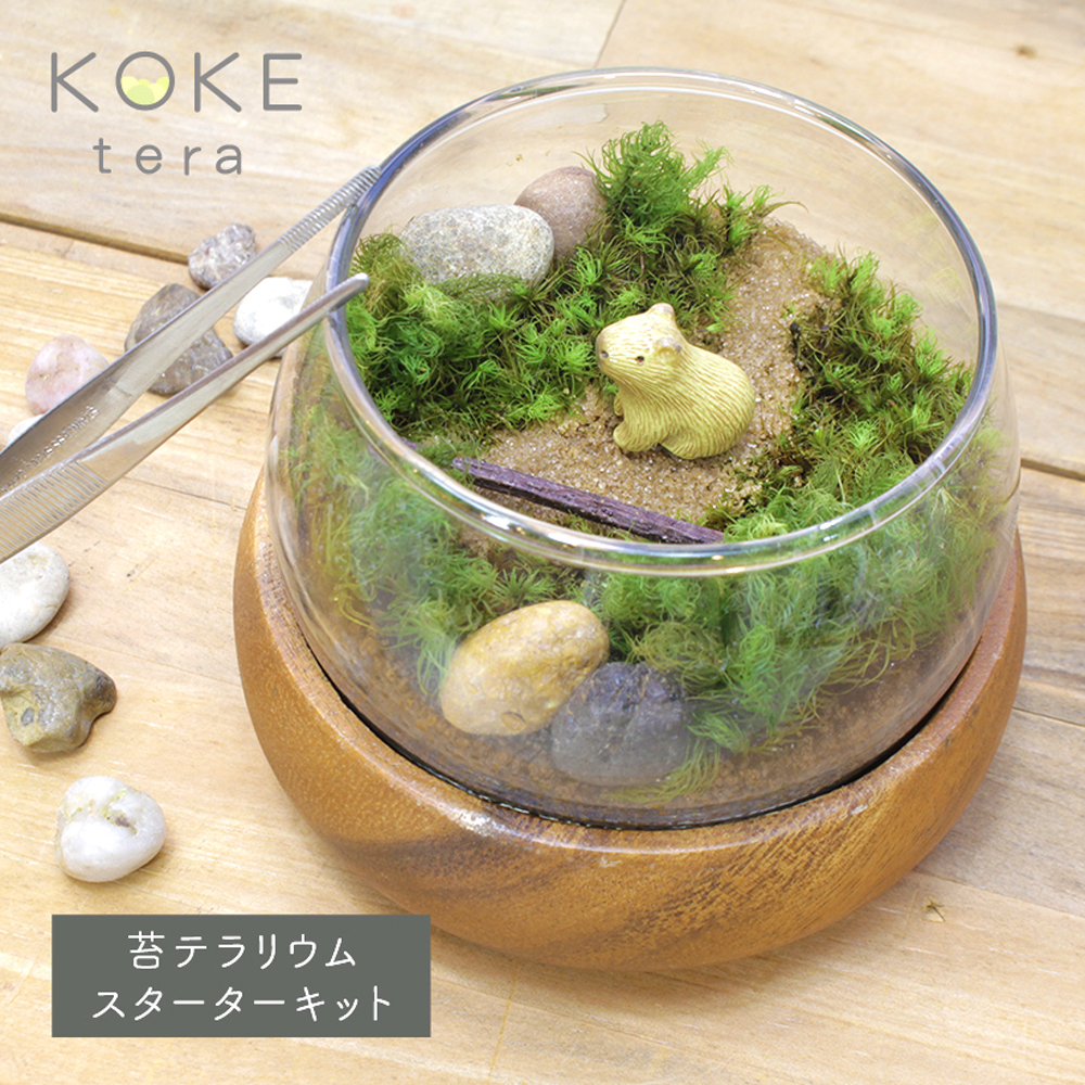 苔テラリウムカピバラTOP