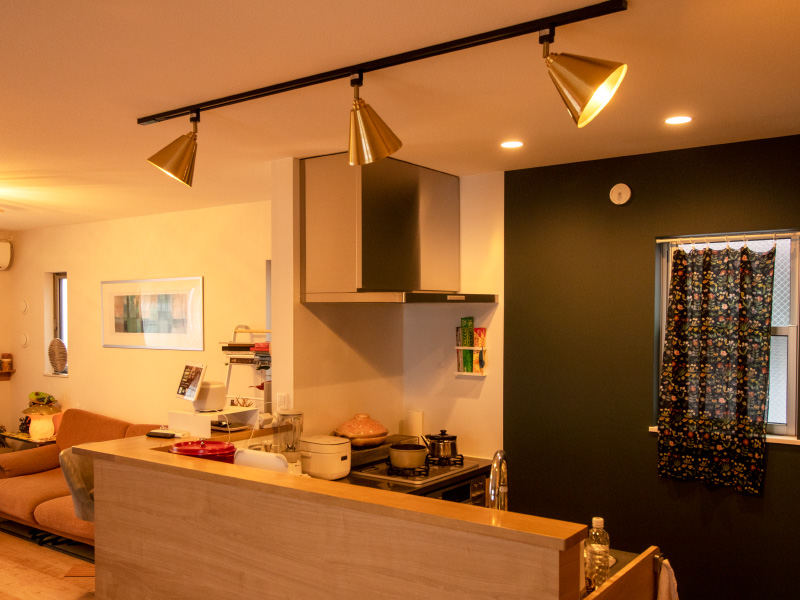 照明 ライト 1灯 シーリングライト ダクトレール用 LIAN リアン