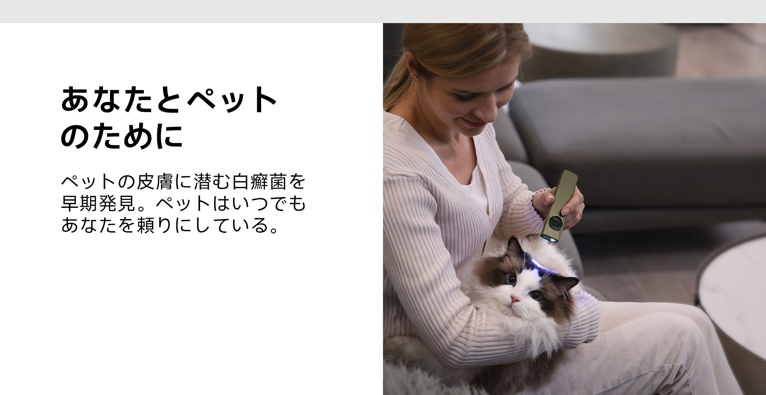 OLIGHT OLIGHT(オーライト) Arkfeld Ultra OAL アルミニウム合金 OLIGHT OLIGHT(オーライト) Arkfeld Ultra OAL アルミニウム合金