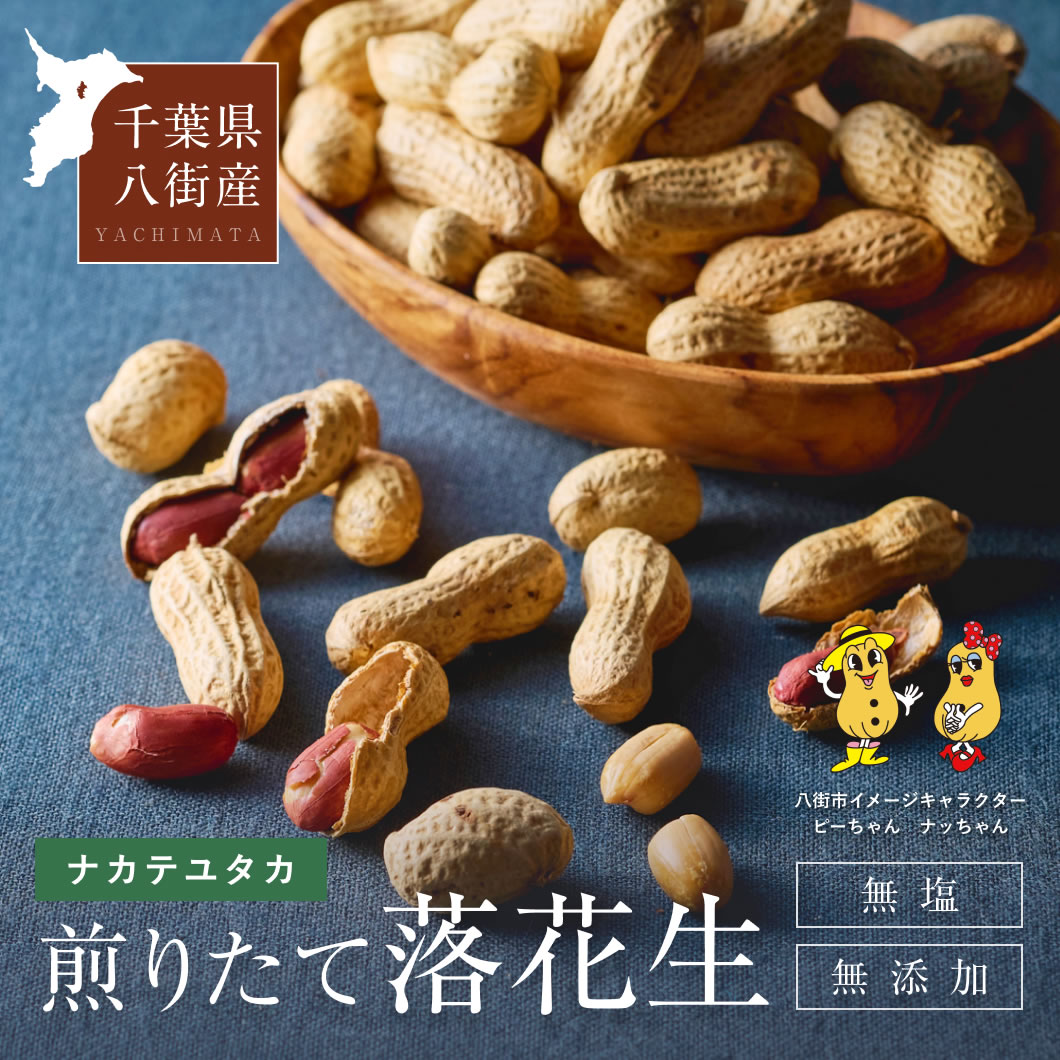 千葉県産 県内発送 ナカテユタカ 10kg 手むき 乾燥生落花生 落花生 中手豊（ナカテユタカ） 300g ( 150g 2袋 ） : レンズ