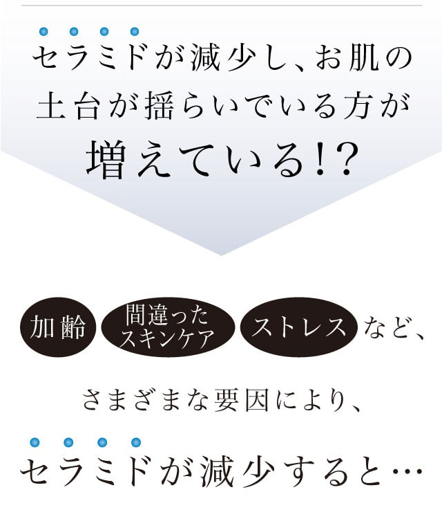パーフェクトジェル｜プリモディーネ