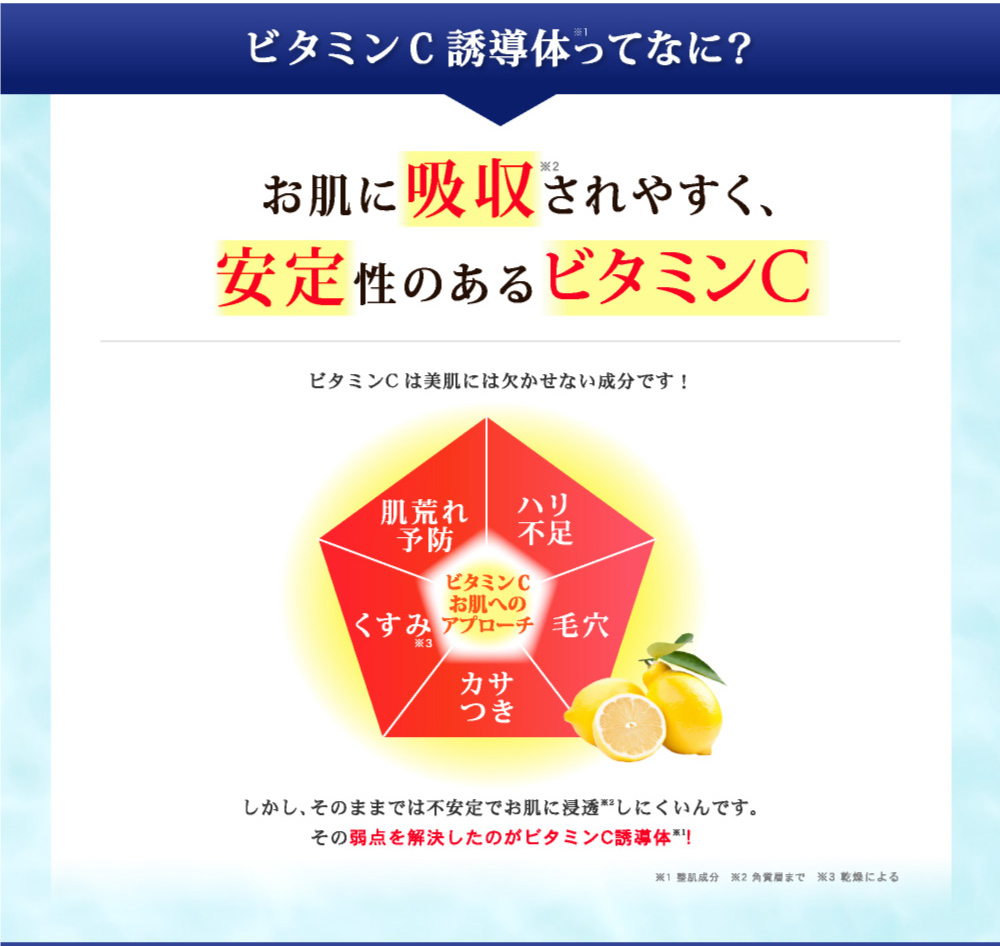 スターターセット｜プリモディーネ