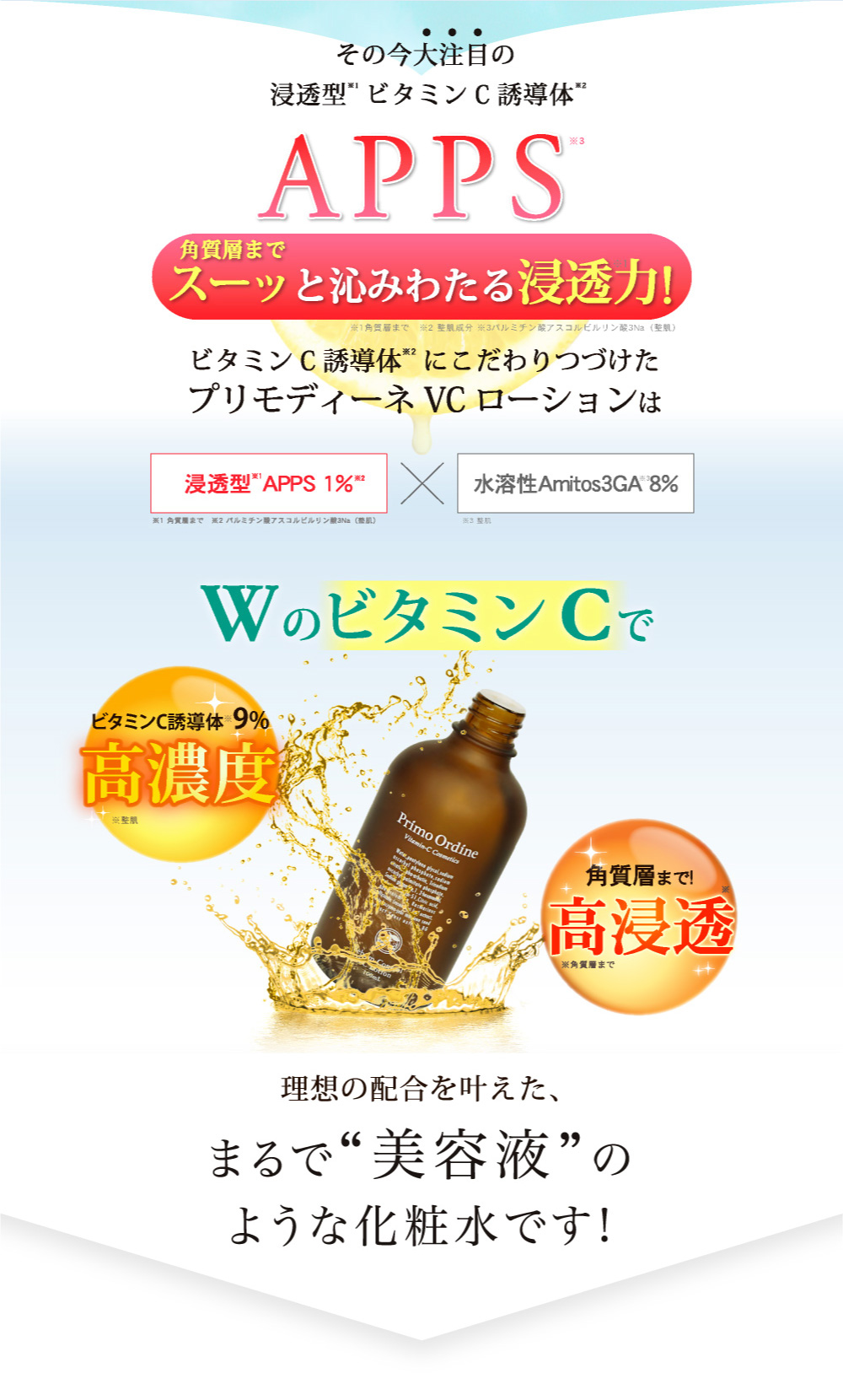 スターターセット｜プリモディーネ