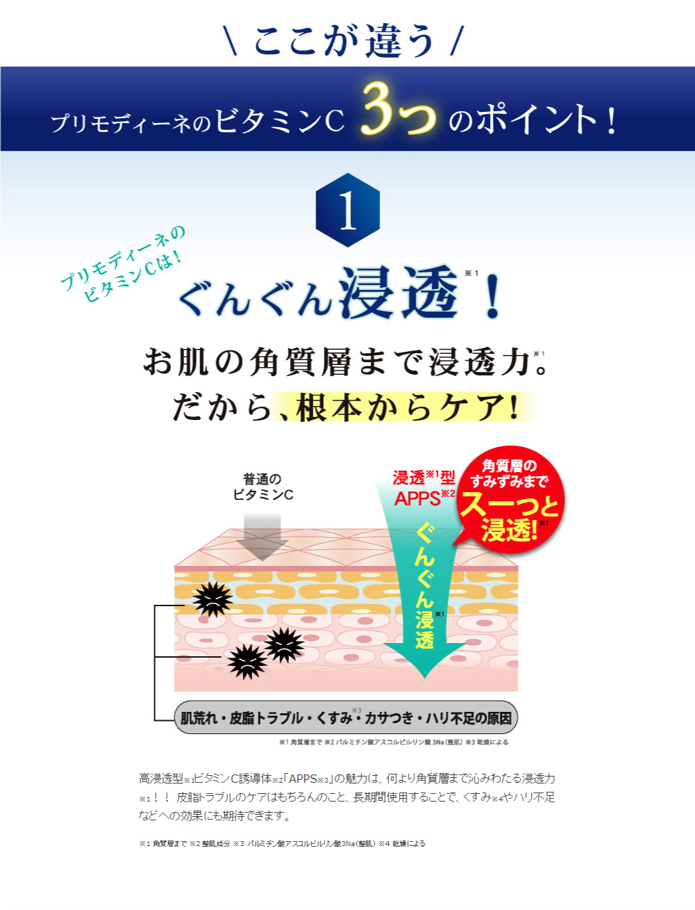 スターターセット｜プリモディーネ