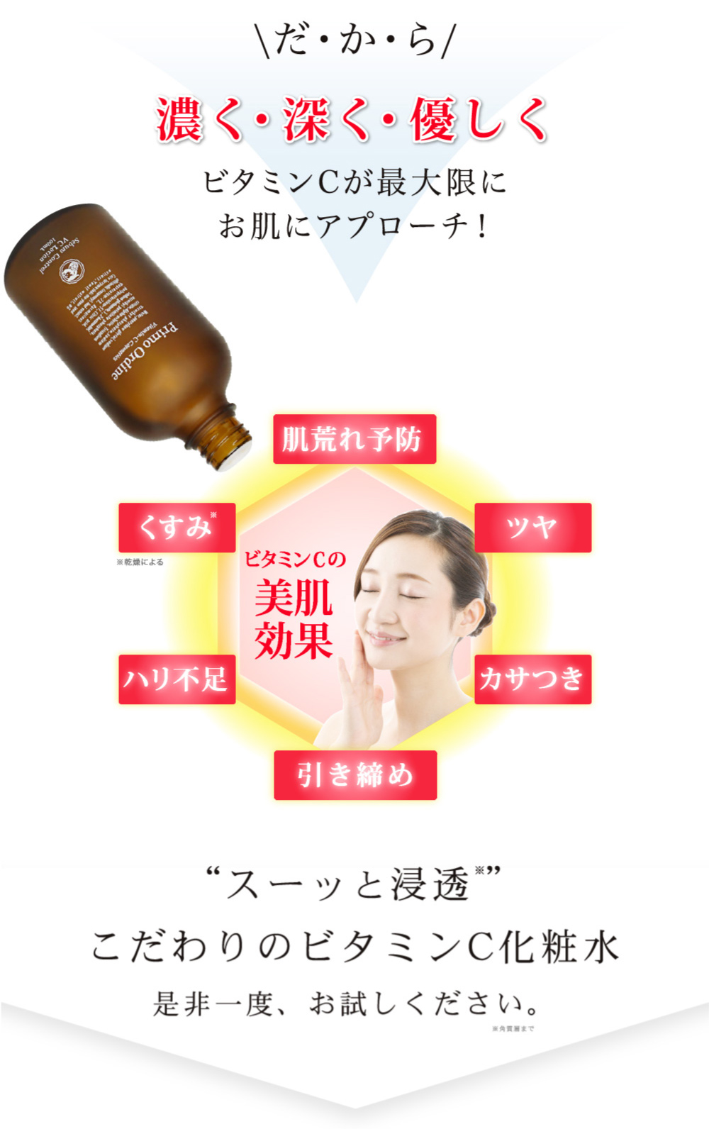 スターターセット｜プリモディーネ