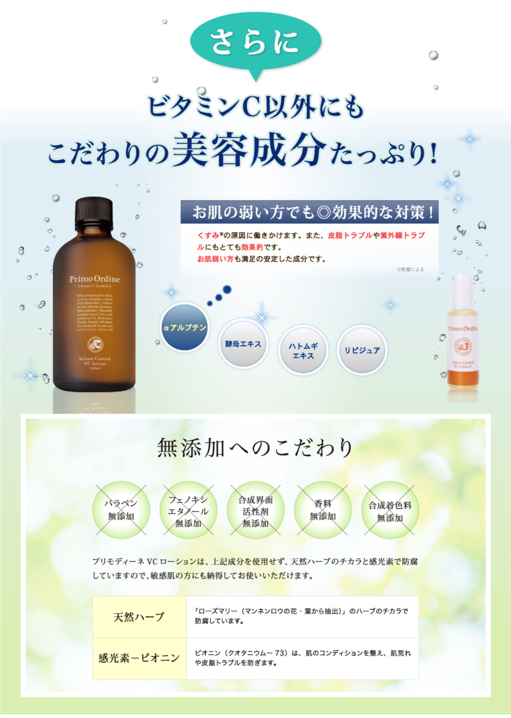 スターターセット｜プリモディーネ