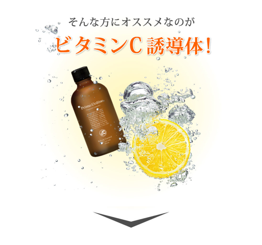 スターターセット｜プリモディーネ