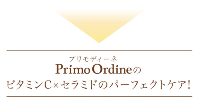 スターターセット｜プリモディーネ