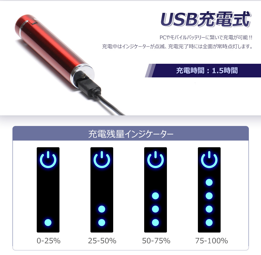 電子 ライター USB 充電式 プラズマライター 小型 携帯 コンパクト ケーブル付き タッチセンサー式｜grandiose｜05