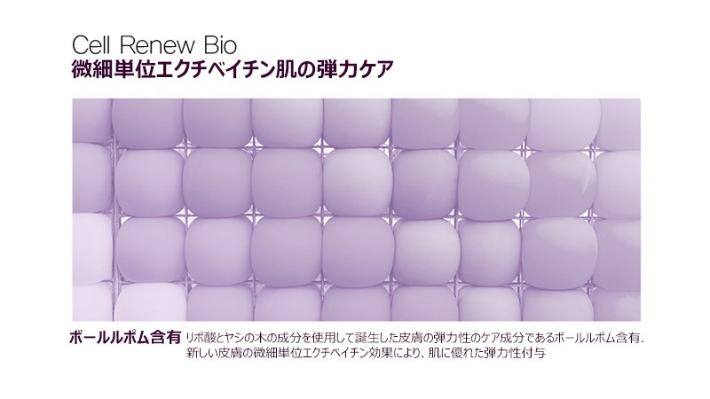 13周年記念イベントが 韓国コスメ The Saem ザセム CELL RENEW BIO SKIN CARE SPECIAL 3 SET  セルリニューバイオ スキンケアースペシャル 3種セット fucoa.cl