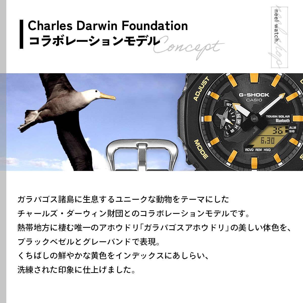 新品未使用 GA-B2100DF-1AJR CDFコラボ　ガラパゴスアホウドリ G-SHOCK チャールズ・ダーウィン財団 コラボレーションモデル