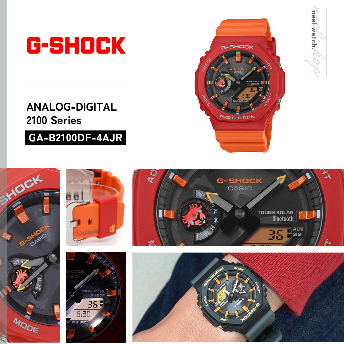G-SHOCK Gショック ソーラー Charles Darwin Foundation コラボ 限定