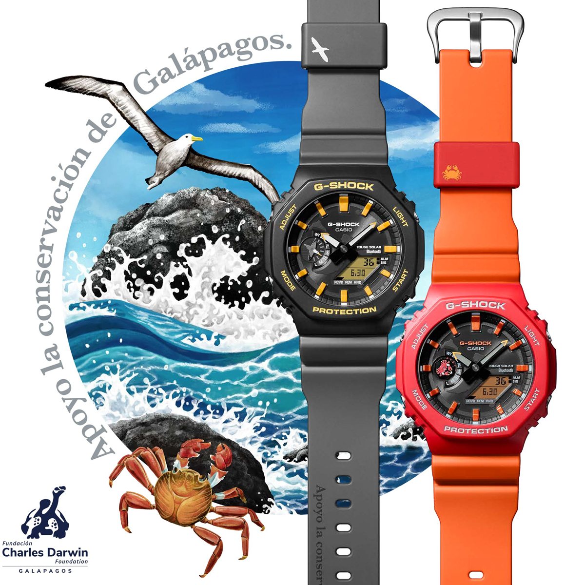 G-SHOCK Gショック ソーラー Charles Darwin Foundation コラボ 限定
