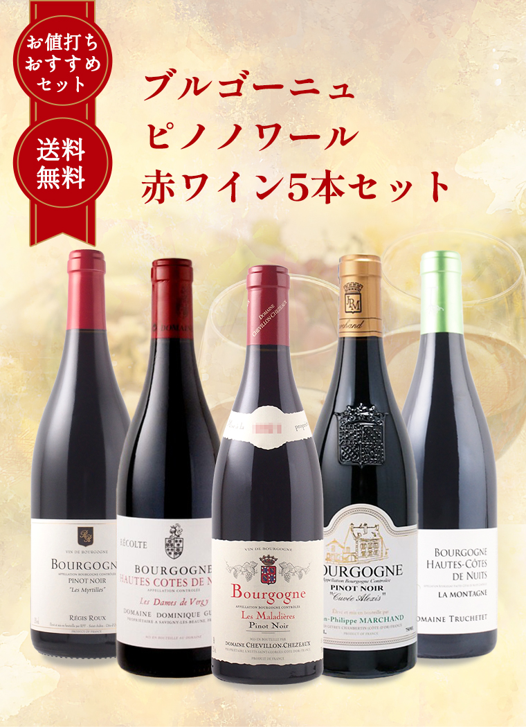 爆買 ワイン ワインセット ブルゴーニュワインピノ ノワール 赤 爆買 ワイン ワインセット ブルゴーニュワインピノ ノワール 赤