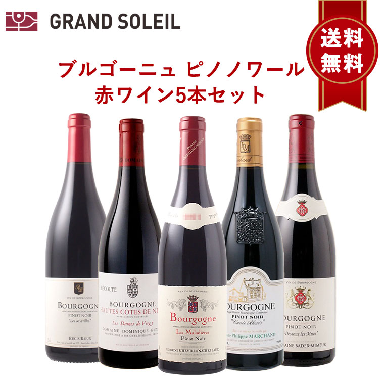 ワイン ワインセット ブルゴーニュワインピノ ノワール 赤 5本セット  