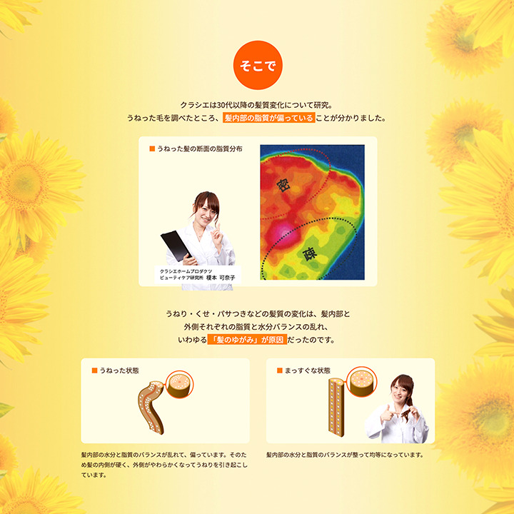 HIMAWARI ひまわり オイルイン シャンプー コンディショナー グロス