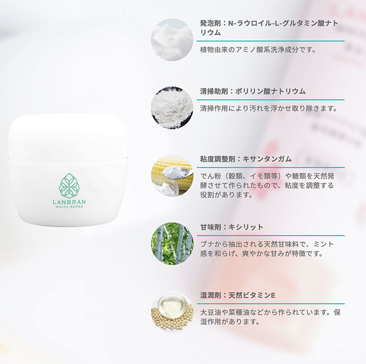 歯を白くする デンタルパウダー シトラスミント 26g 1個 歯磨き粉