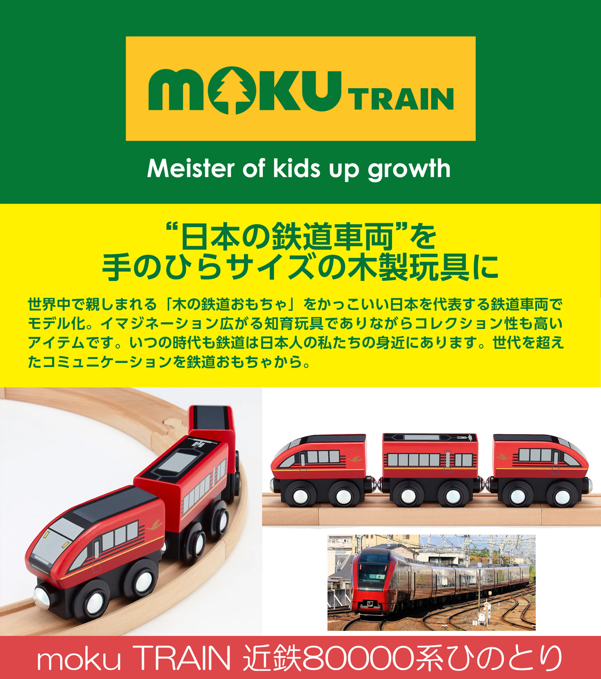 moku TRAIN 近鉄80000系ひのとり | 電車 おもちゃ BRIO 互換 ブリオ