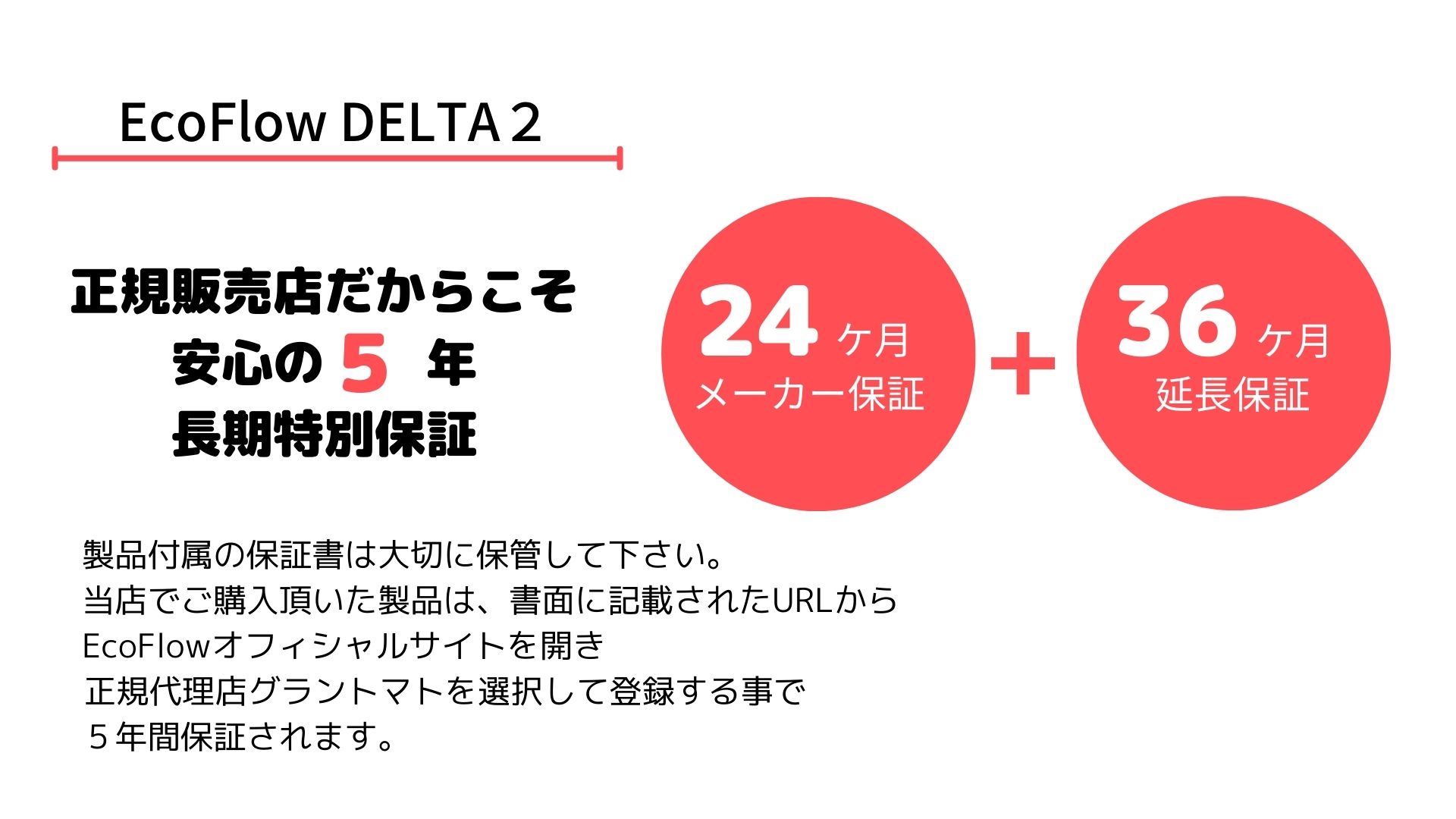 【即日発送 営業日11:59ご注文マデ】EcoFlow DELTA 2 ポータブル電源 リン酸鉄 大容量1024Wh エコフロー