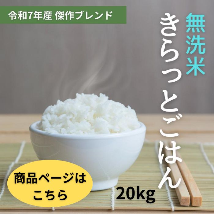 ALL令和7年産 きらっとごはん 白米 5kg(5kg×1袋) 送料無料 米 お米 5kg