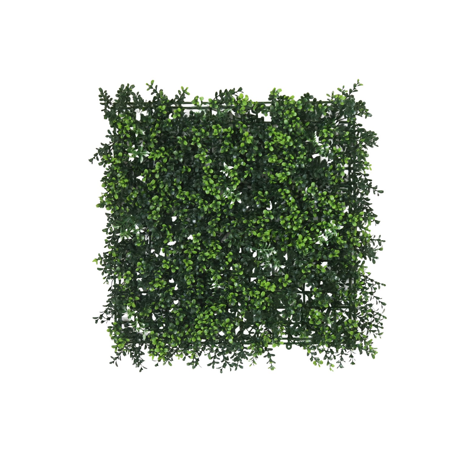 DORIS（ドリス） ウォールグリーン 壁掛け フェイクグリーン 50×50cm