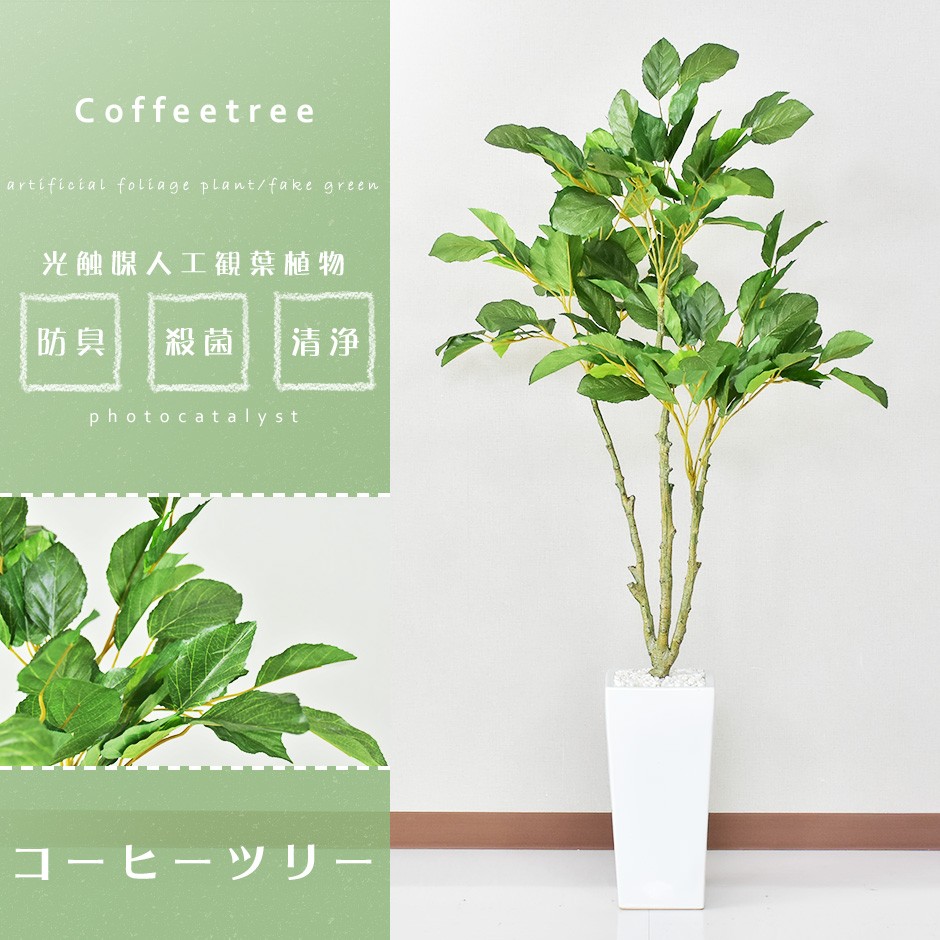 人工植物 観葉植物 DORIS 光触媒 造花 植物 フェイクグリーン 鉢付き